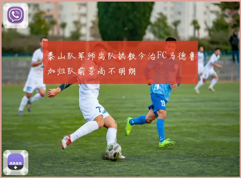 泰山队军师离队执教今治FC马德鲁加归队前景尚不明朗